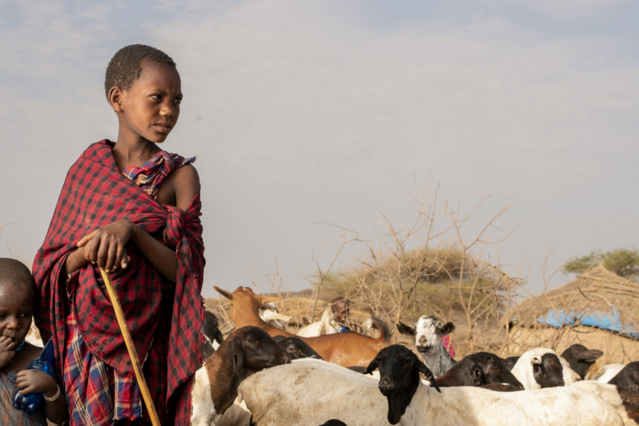 La otra cara de Tanzania turismo en tierra masái y la violencia silenciada contra niñas